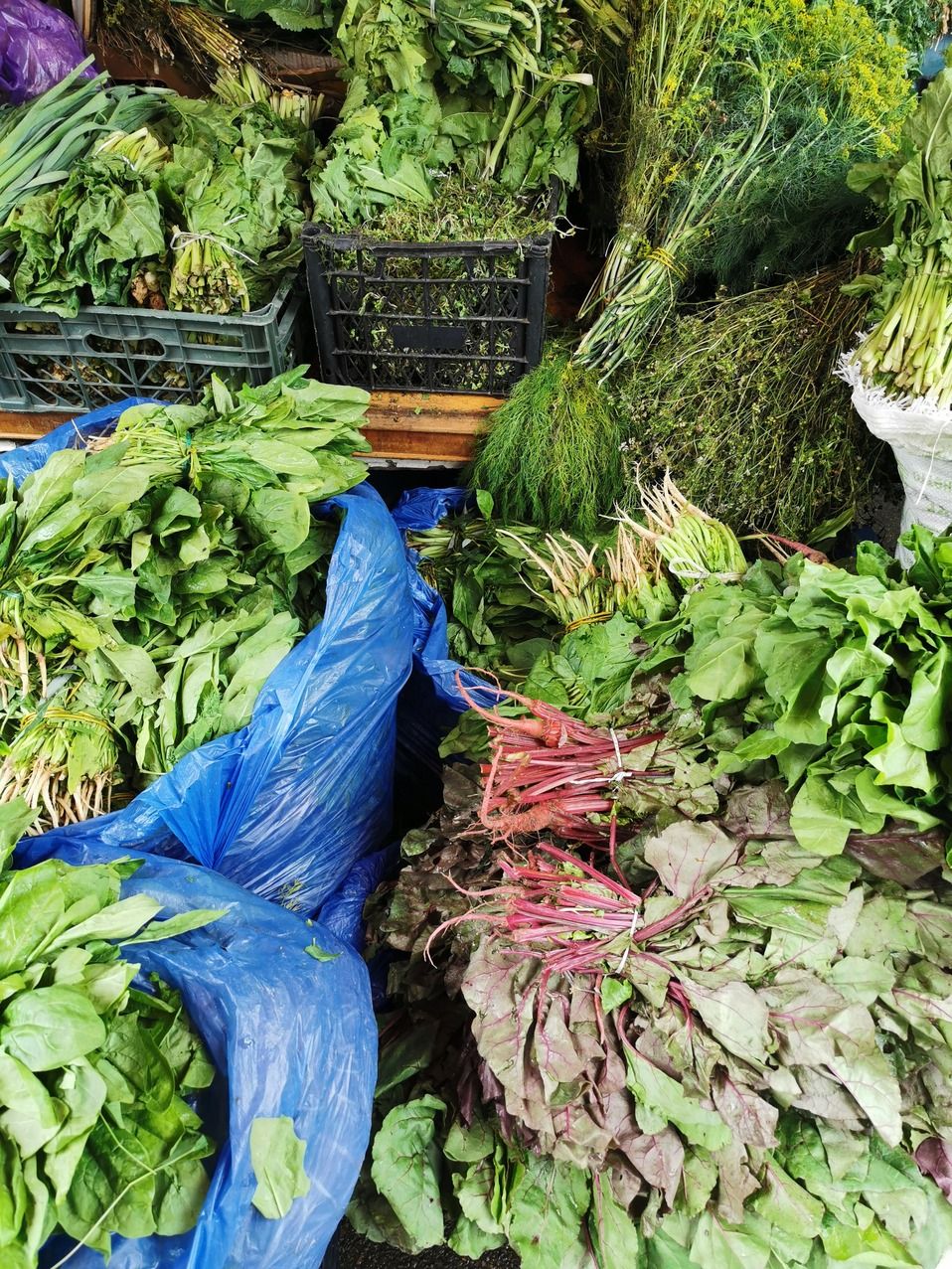 IMG_20231002_103545 (1).jpg