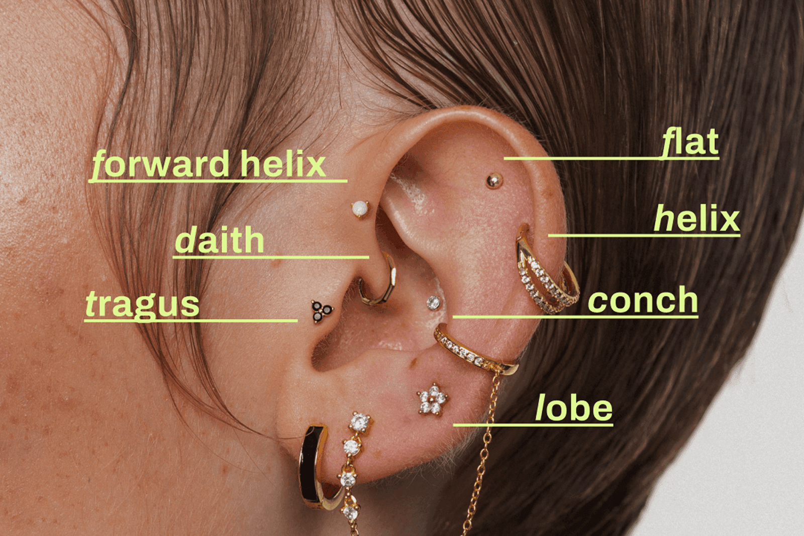 Diagram ucha z oznaczeniami różnych rodzajów przekłuć, ilustrujący miejsca na kolczyki i biżuterię Ania Kruk (np. lobe, helix, conch, tragus, daith, flat, forward helix).